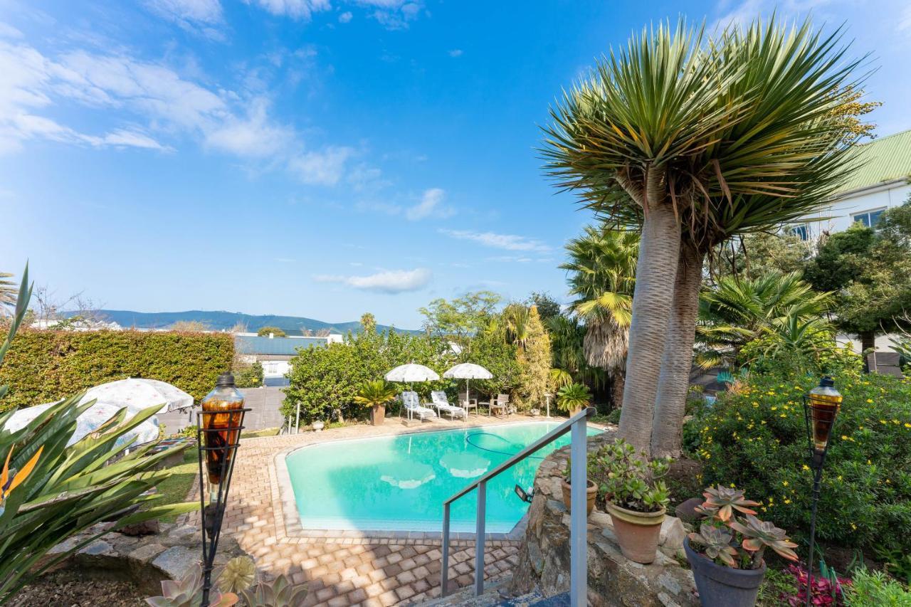 Aestas Bed And Breakfast Knysna Extérieur photo